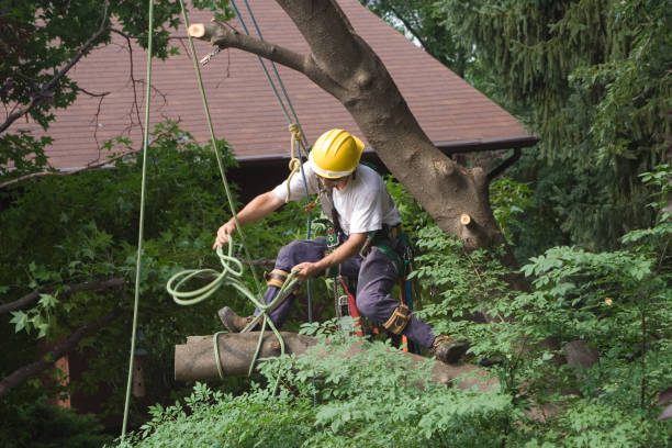 Lawn Irrigation Installation and Maintenance in Highland, IL
